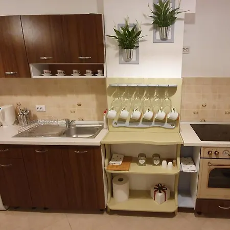 Apartman Bibliotheque Studio Brassó